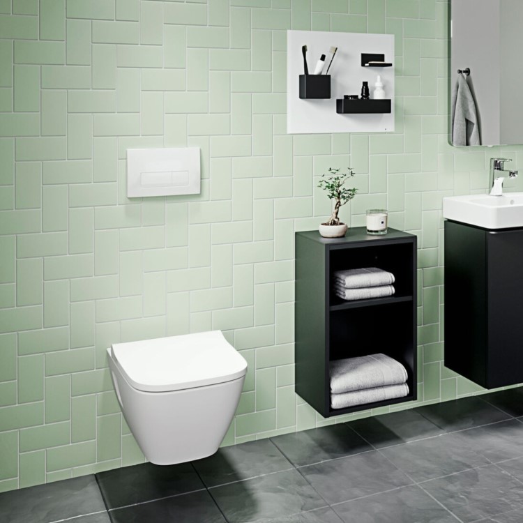 Geberit Delta50 Flush Plate - Alpine White