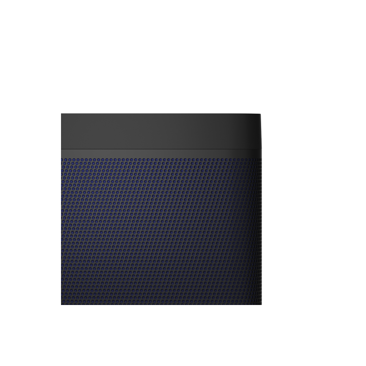 Bang & Olufsen Beolit 20 Black Anthracite Bluetooth Speaker