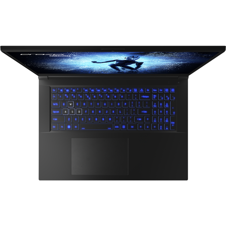 Medion ERAZER Defender P50 Intel Core i7 16GB RAM 1TB SSD RTX 4060 144Hz 17.3 Inch FHD Windows 11 Home Gaming Laptop