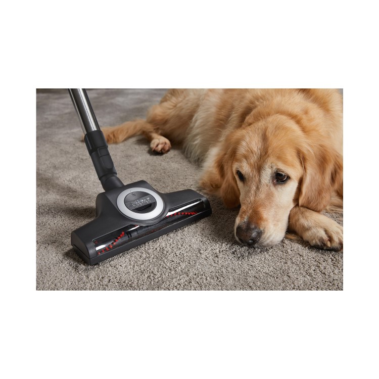 Miele CX1 Blizzard Comfort Cat & Dog Cylinder Vacuum Cleaner - Grey