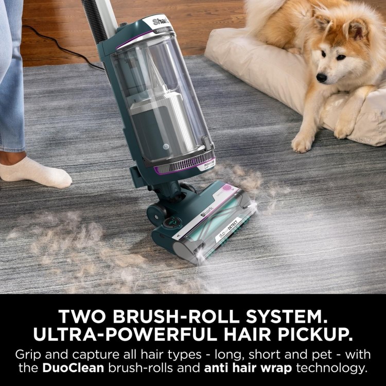 Shark PowerDetect Powered Lift-Away Upright Pet Vacuum Cleaner - Dark teal