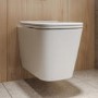 Albi Wall Hung Toilet 1160mm Pneumatic Frame & Cistern & Brushed Brass Flush Plate