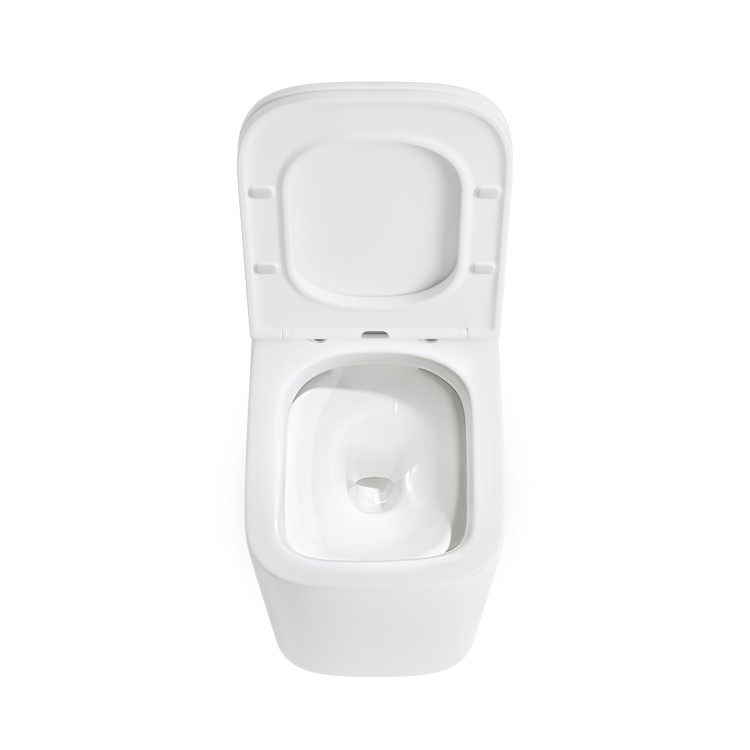 Albi Wall Hung Toilet 1160mm Pneumatic Frame & Cistern & Brushed Brass Flush Plate