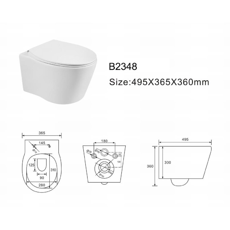 Wall Hung Rimless Toilet with Soft Close Seat - Alcor