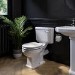 Traditional Close Coupled Toilet with Wooden Soft Close Seat - Park Royal