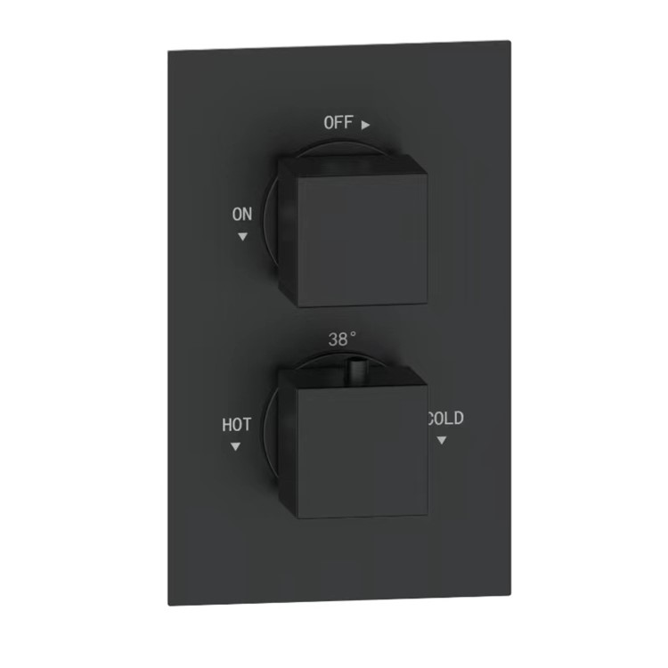 Black Single Outlet Wall Mounted Thermostatic Mixer Shower Set  - Zana