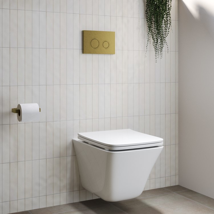 Wall Hung Rimless Toilet  - Includes Cistern Wall Hung Frame Soft Close Seat and Brushed Brass Flush Plate - Boston