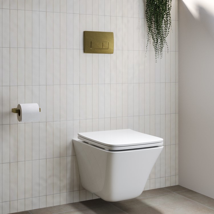 Wall Hung Toilet with Soft Close Seat Brushed Brass Pneumatic Flush Plate 1160mm Frame & Cistern - Boston