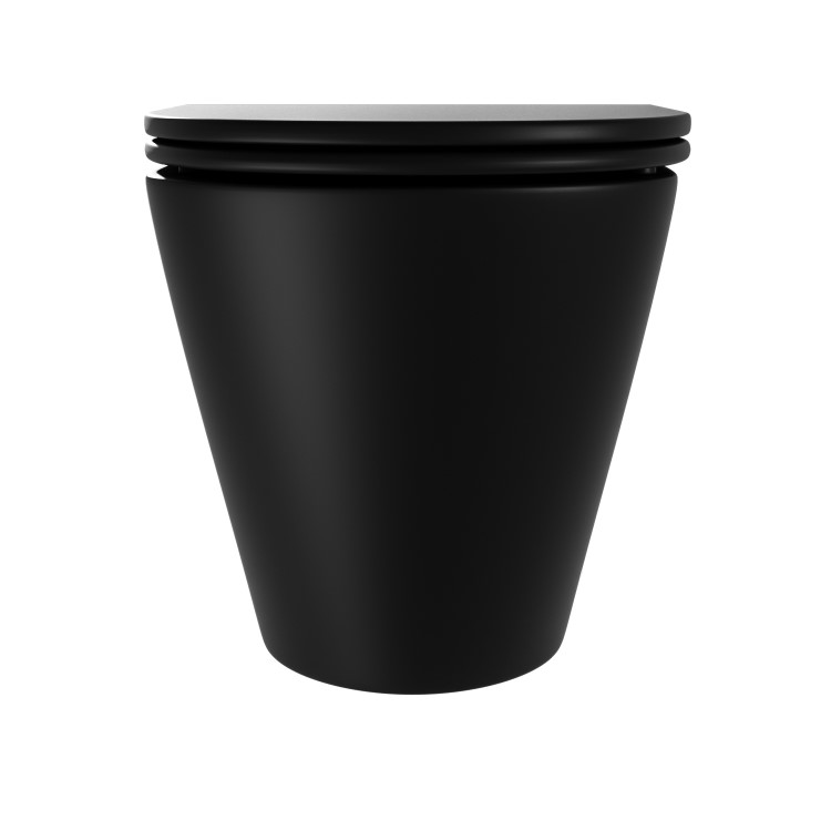 Matt Black Back to Wall Rimless Toilet with Soft Close Seat - Newport