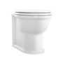 Back to Wall Rimless Toilet and Soft Close Seat - Ripley