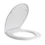 Back to Wall Rimless Toilet and Soft Close Seat - Ripley