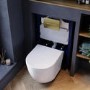 White Wall Hung Toilet with Soft Close Seat, Brushed Brass Pneumatic Flush Plate, 820mm Frame & Cistern - Roma