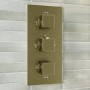 Brushed Brass Dual Outlet Wall Mounted Thermostatic Mixer Shower Set with Hand Shower - Zana