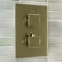 Brushed Brass Single Outlet Wall Mounted Thermostatic Mixer Shower Set - Zana