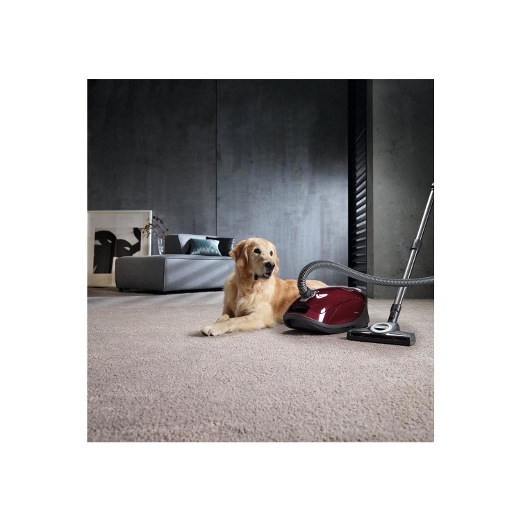 Miele C3 Complete Cat & Dog Pro Bagged Cylinder Vacuum Cleaner - Tayberry Red