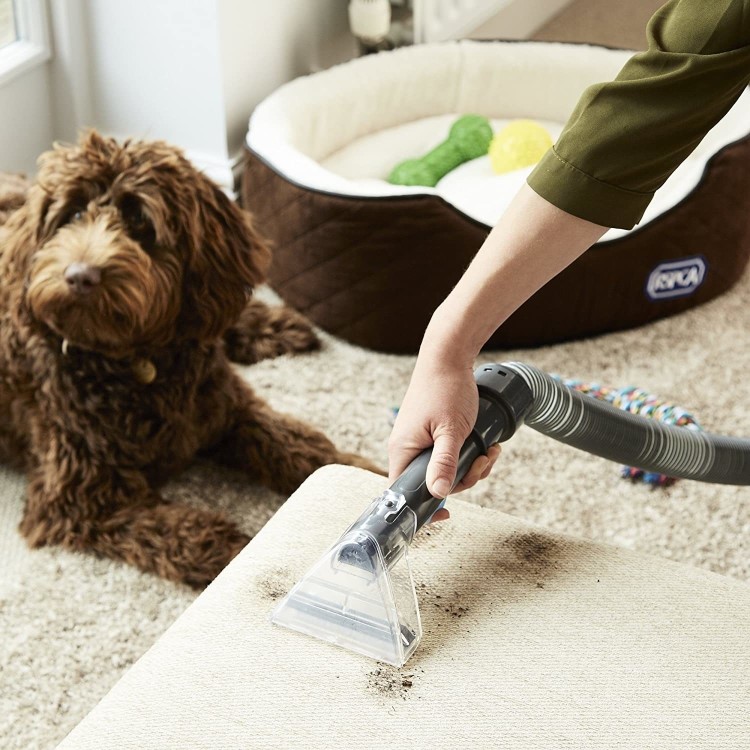 Vax Dual Power Pet Advance Carpet Cleaner with Pet Odour Solution