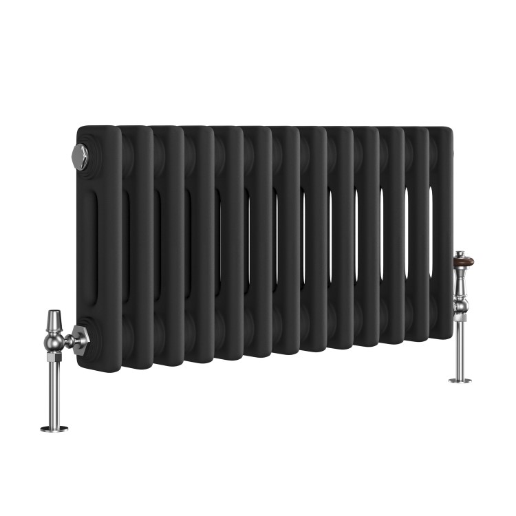 Reggio Midnight Black Horizontal Double Column Traditional Radiator 300x605mm 1062 BTU - Cast Iron Style