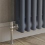 GRADE A1 - Reggio Anthracite Horizontal Double Column Traditional Radiator 300x605mm 1062 BTU - Cast Iron Style