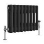 GRADE A1 - Reggio Midnight Black Horizontal Double Column Traditional Radiator 300x425mm 735 BTU - Cast Iron Style