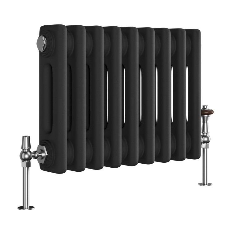 GRADE A1 - Reggio Midnight Black Horizontal Double Column Traditional Radiator 300x425mm 735 BTU - Cast Iron Style