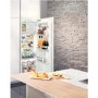 liebherr IKBP2954 Premium BioFresh 158cm In-column Integrated Fridge With Icebox