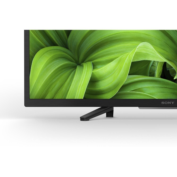 Sony W800P 32 inch Smart 720p HD Ready Android LED TV