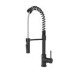 Malvern Single Lever Monobloc Pull Out Dual Spray Kitchen Tap - Matt Black