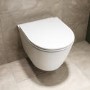 Matt White Round Soft Close Toilet Seat - Newport