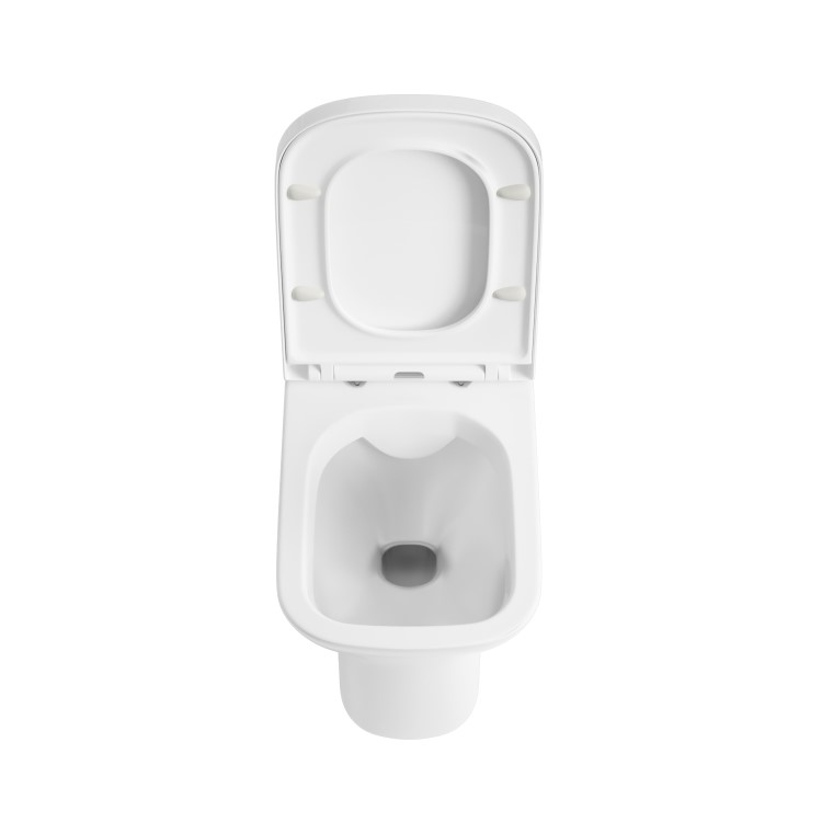 Back to Wall Rimless Toilet with Soft Close Seat - Palma