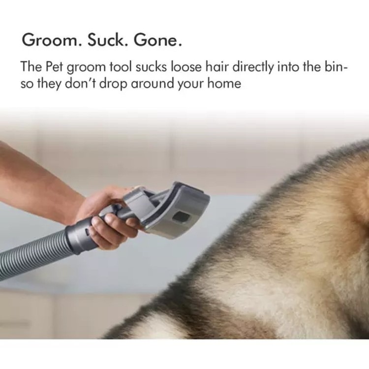 Dyson Pet Grooming Kit