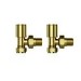 Brushed Brass Round Angled Radiator Valves - Tundra - For Pipework Which Comes From The Wall