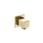 Brushed Brass Shower Slide Rail Kit - Zana