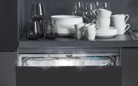 auto open door dishwasher.