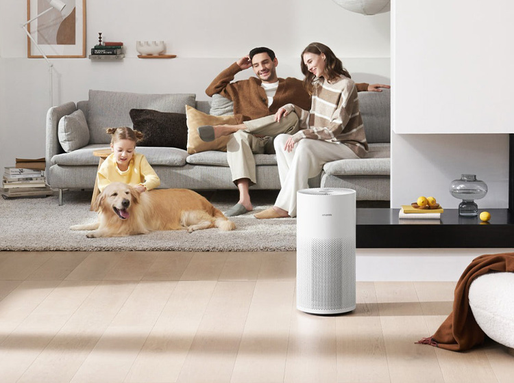 What do air purifiers do?